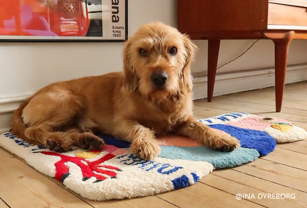 I Made My Dog a Rug. He Slept on It Like He Knew It Was Made for Him.