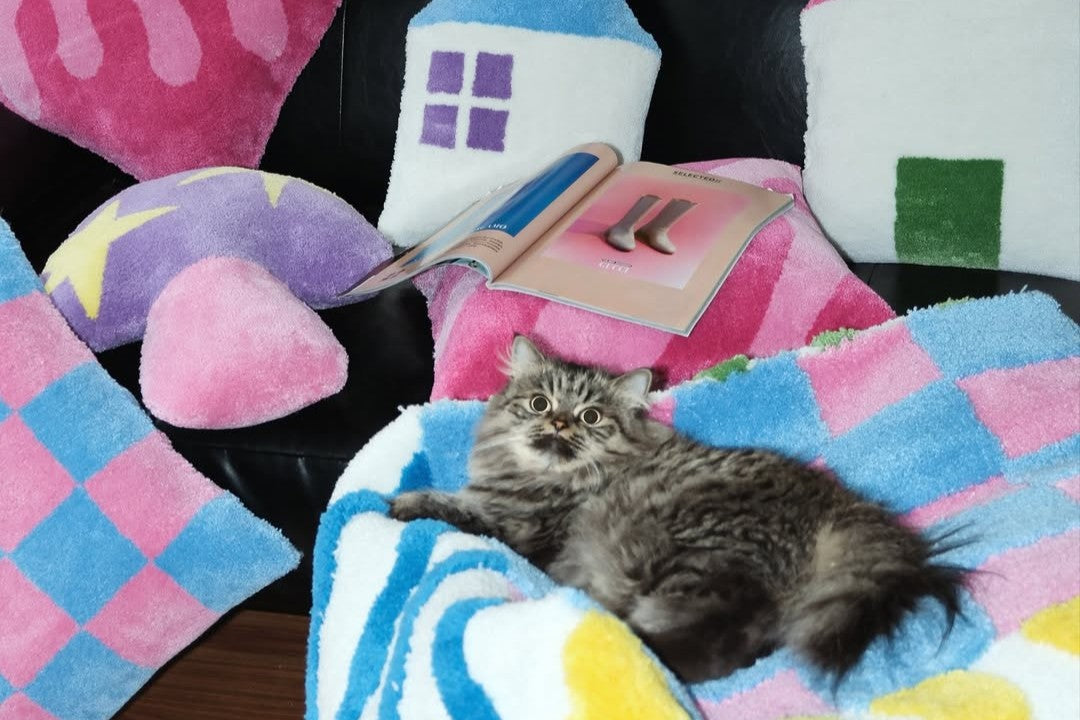 Cat on a Tufted DIY Bed